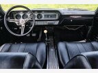 Thumbnail Photo 12 for 1964 Pontiac GTO